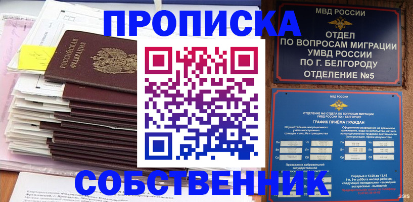 прописка законно в Михайлове